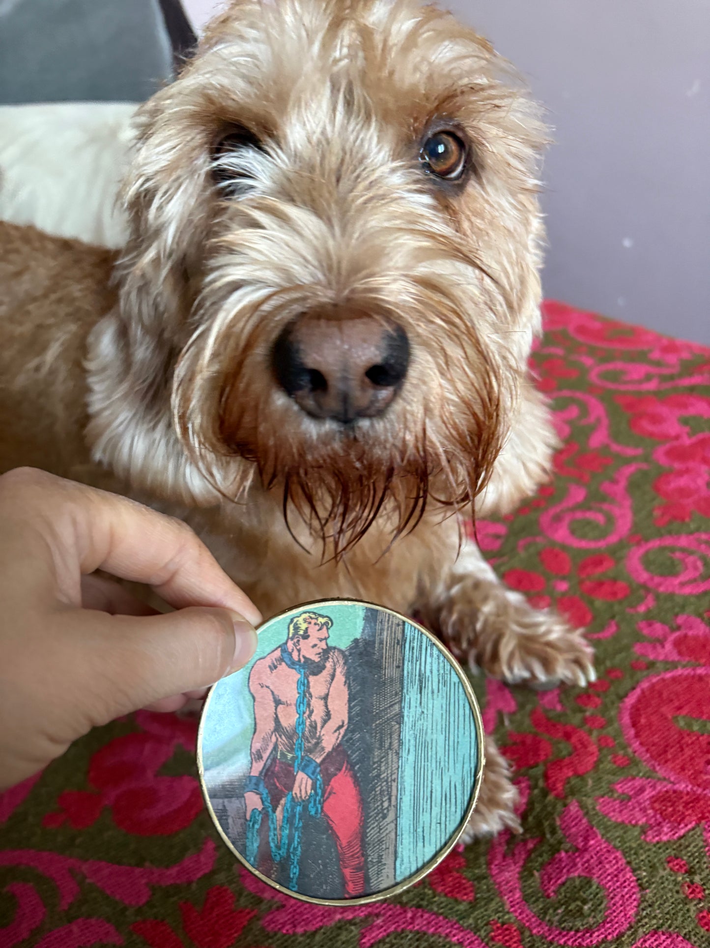 Mini Shelfie: Gordon in Chains 