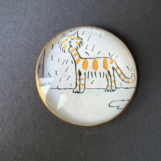 Fabulous Wink: Cat in the Rain