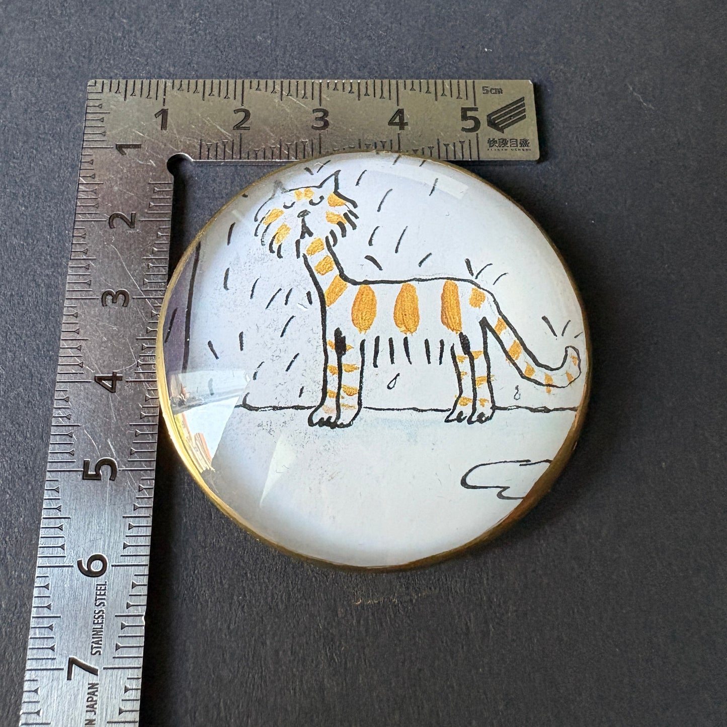 Occhiolino favoloso: Gatto sotto la pioggia