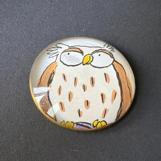 Fabulous wink: owl 