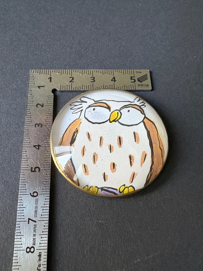 Occhiolino favoloso: civetta