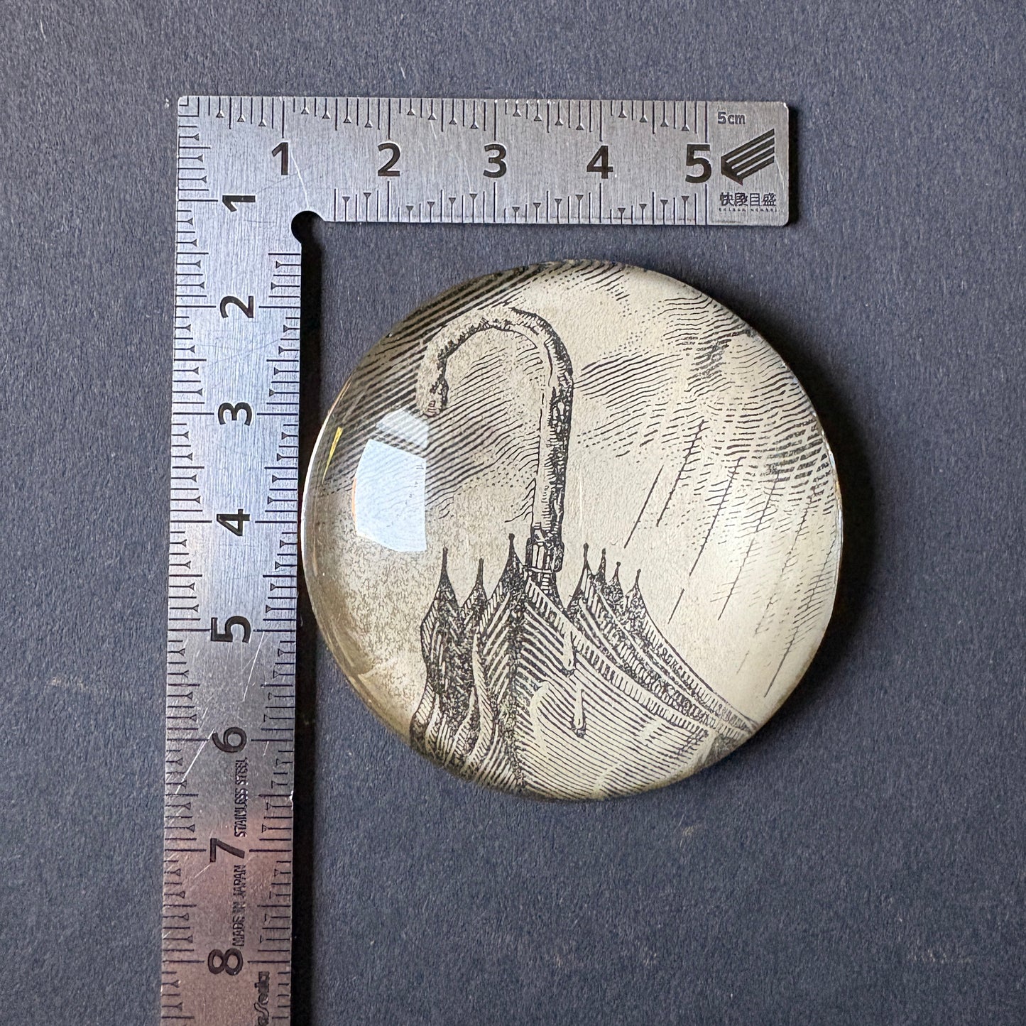 Occhiolino variegato: ombrello