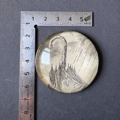 Occhiolino variegato: ombrello