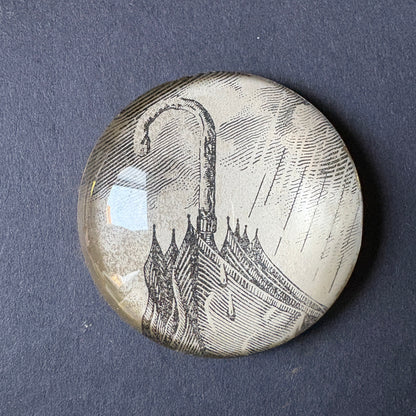 Occhiolino variegato: ombrello