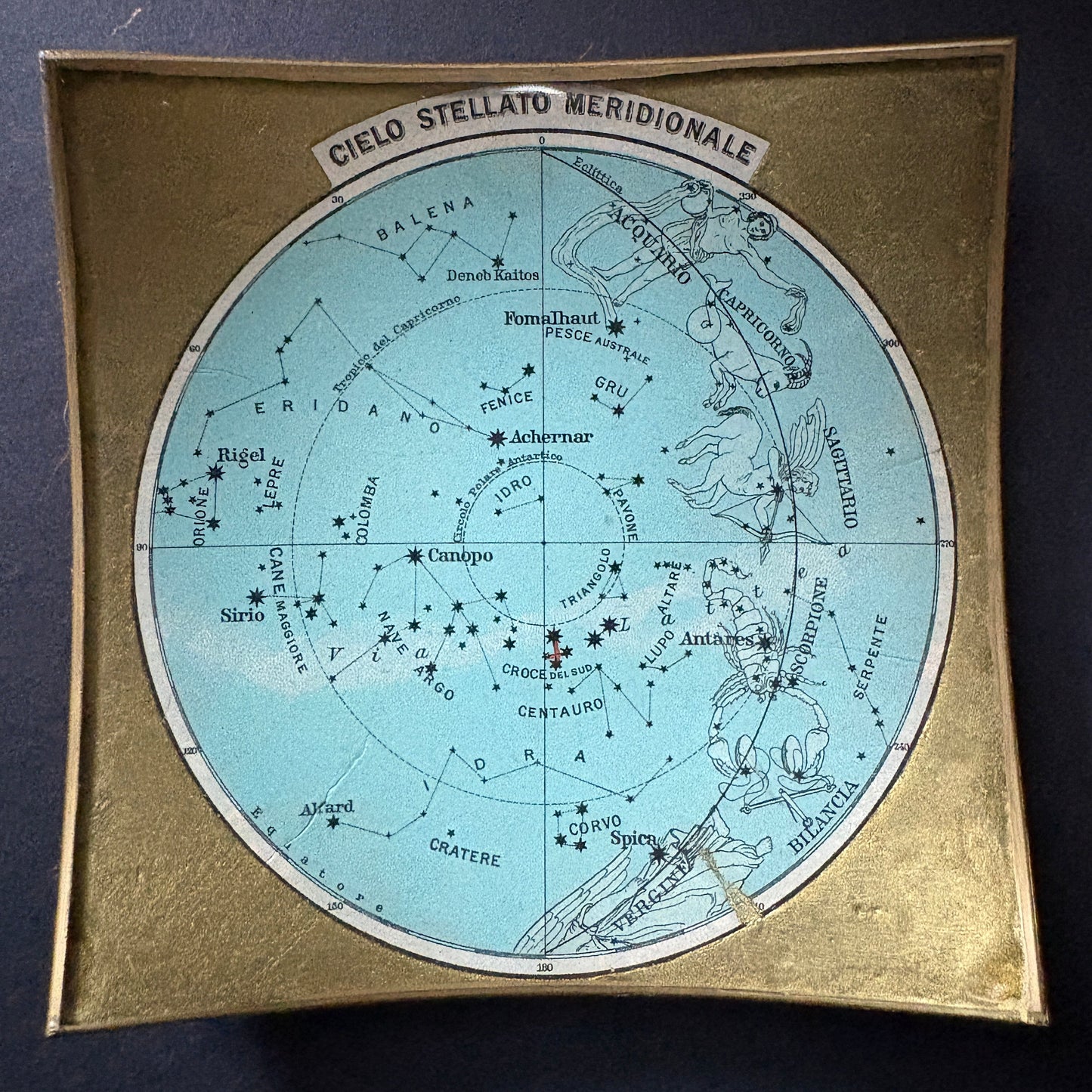 Shelfie: Southern Starry Sky