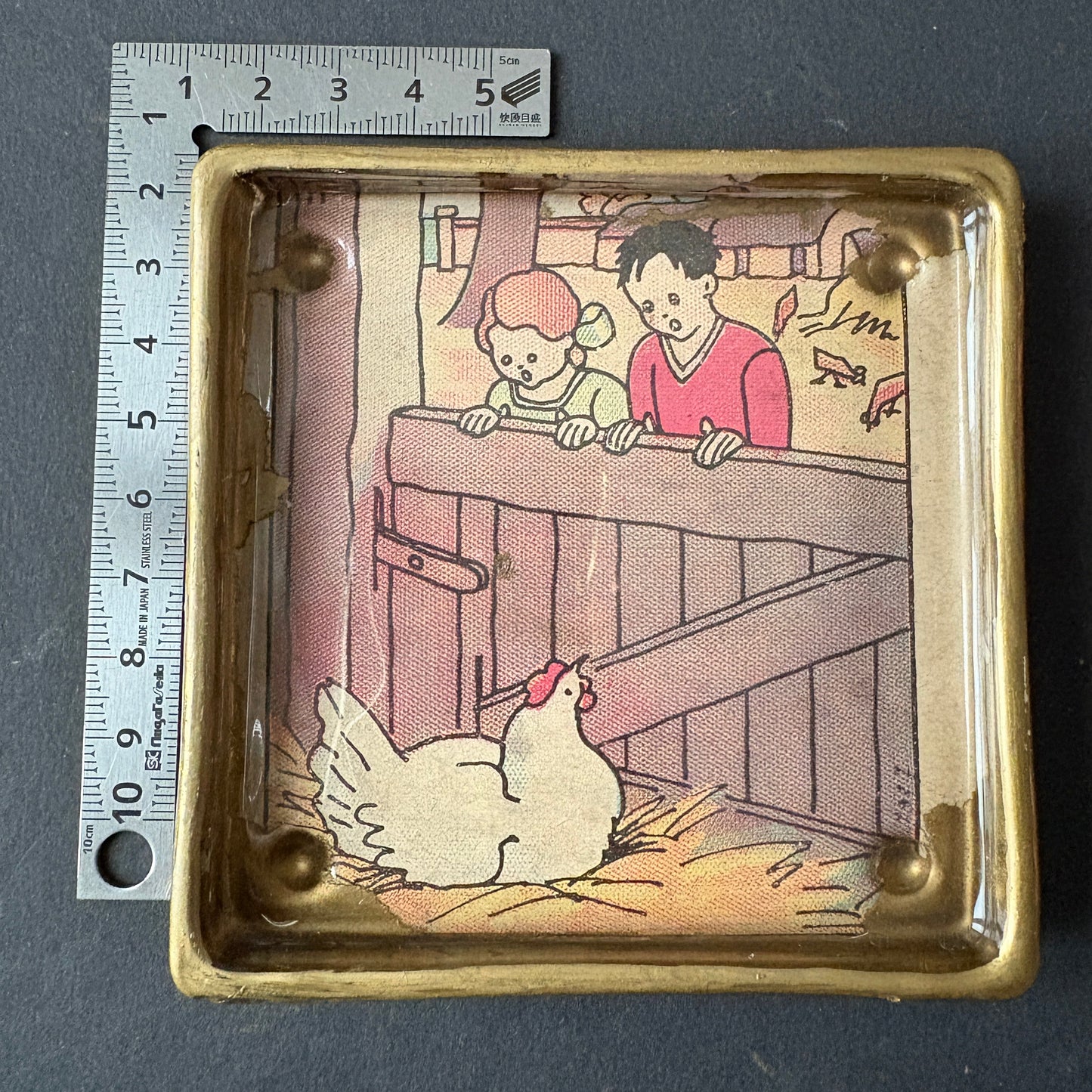 Shelfie: The Hen That Broods