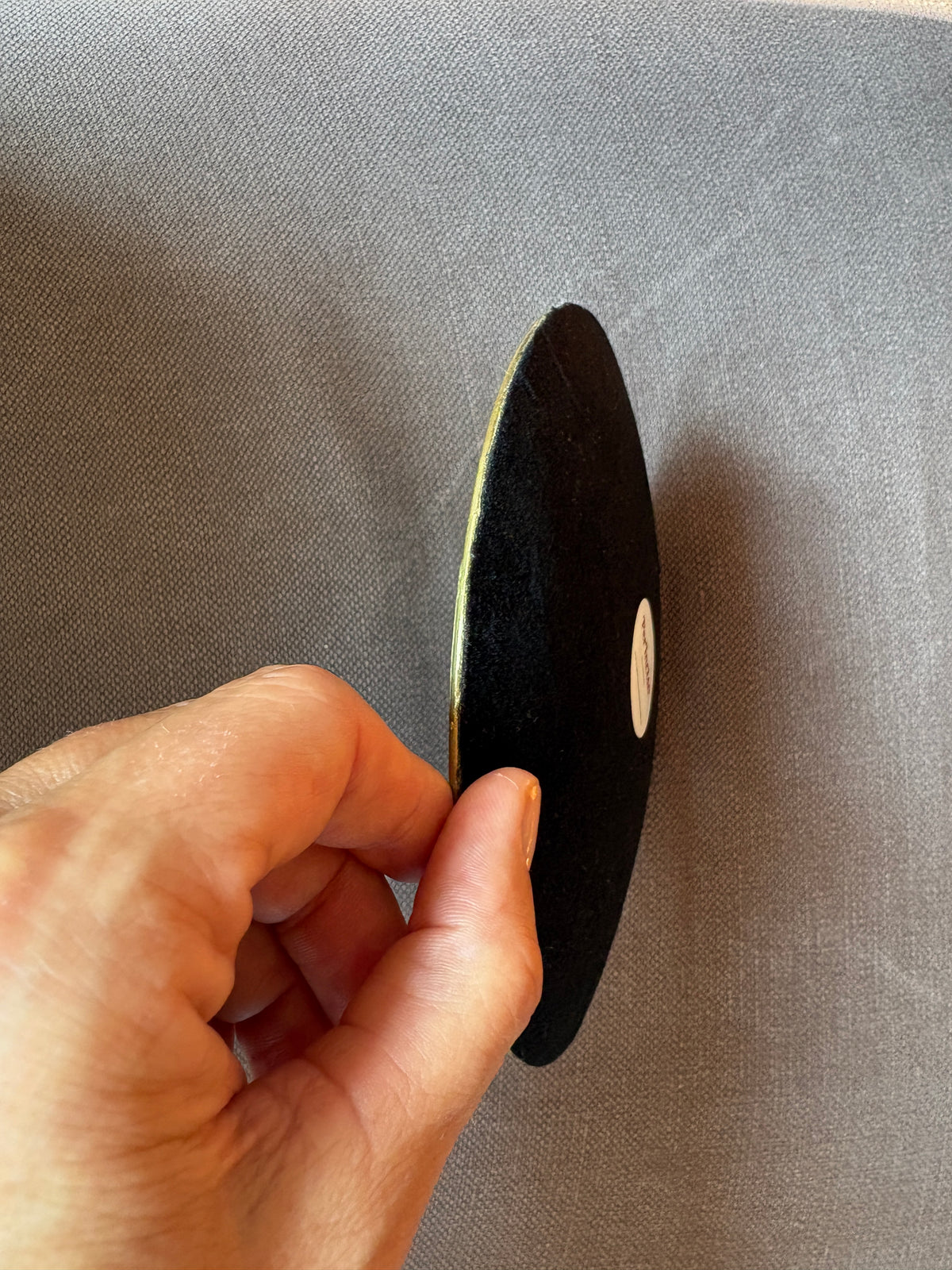 Shelfie tondo Ø15 cm con bassotto a pelo liscio visto di profilo, tenuto in mano per mostrare lo spessore dell'oggetto